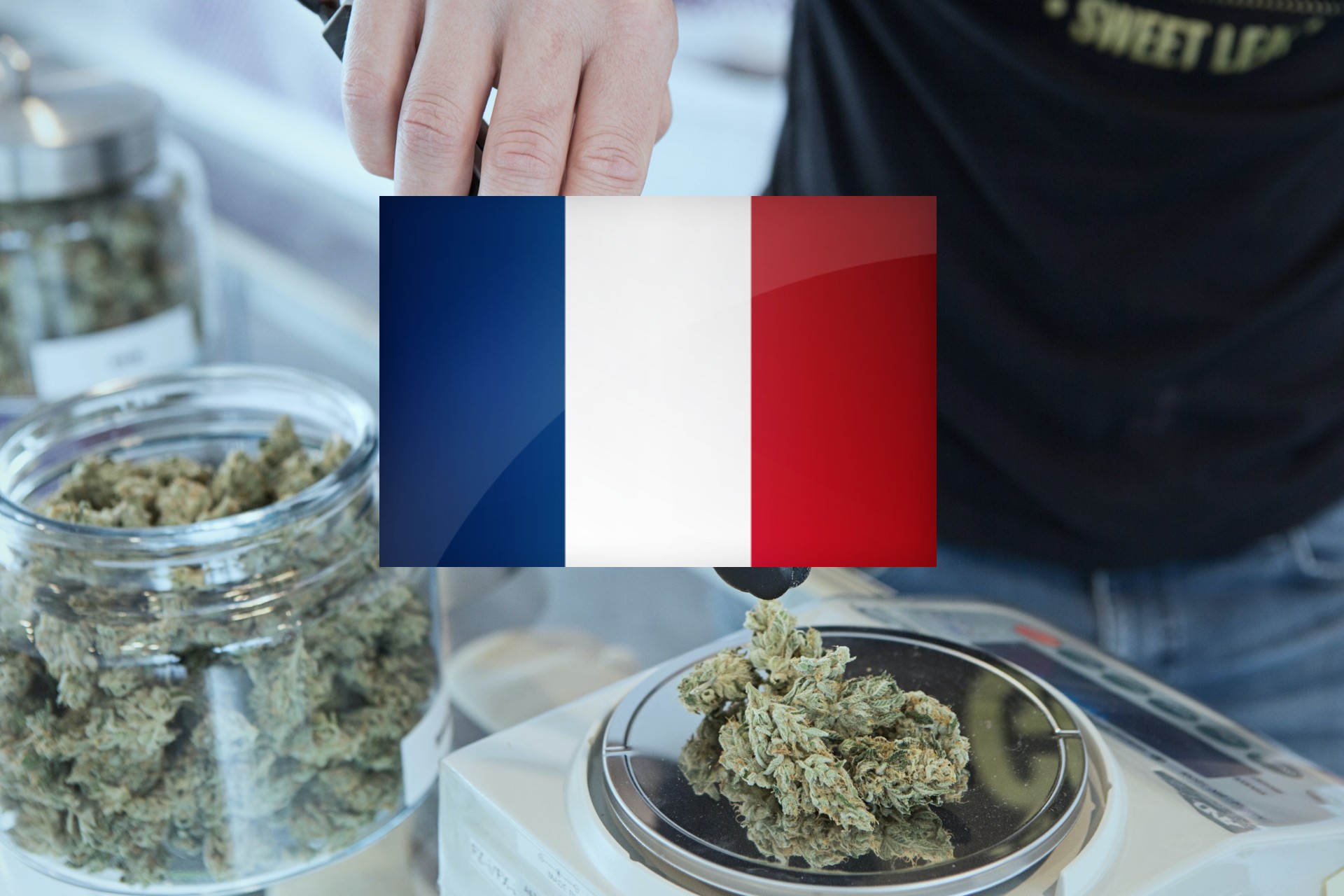 Acquista cannabis e hashish in Francia