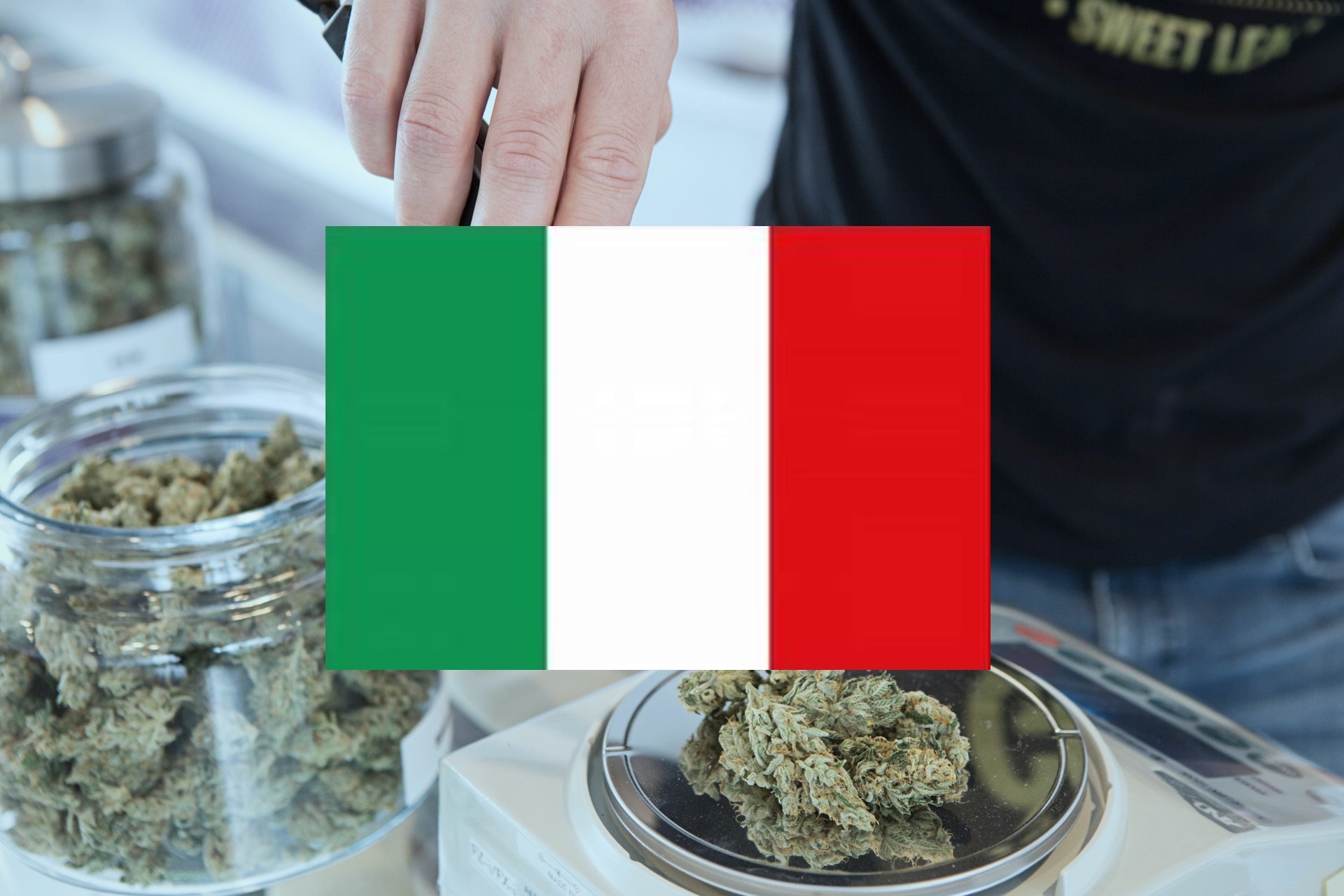 Come acquistare cannabis e hashish in Italia?